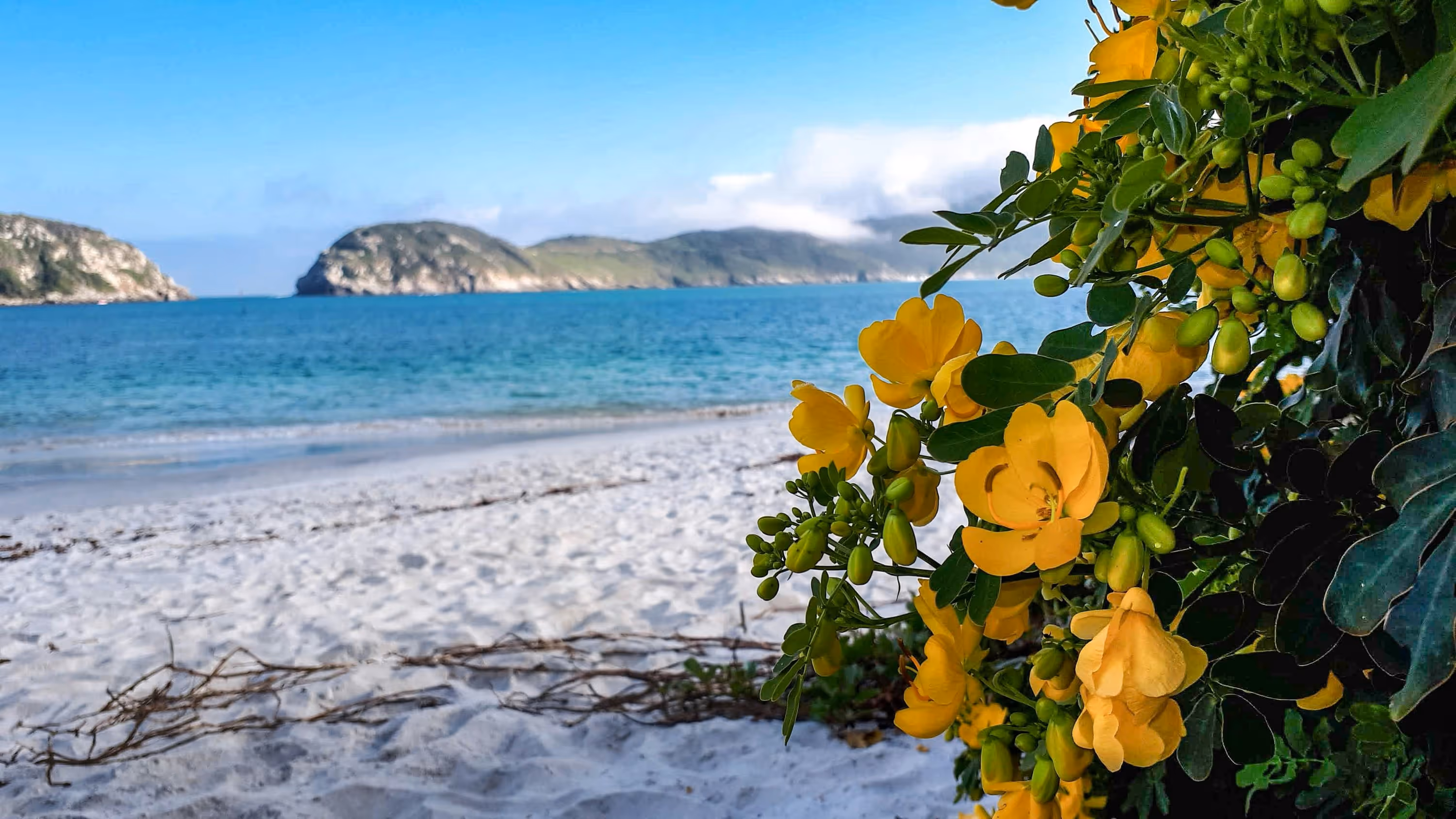Vista costera con dunas, mar turquesa y cerros de Arraial do Cabo
