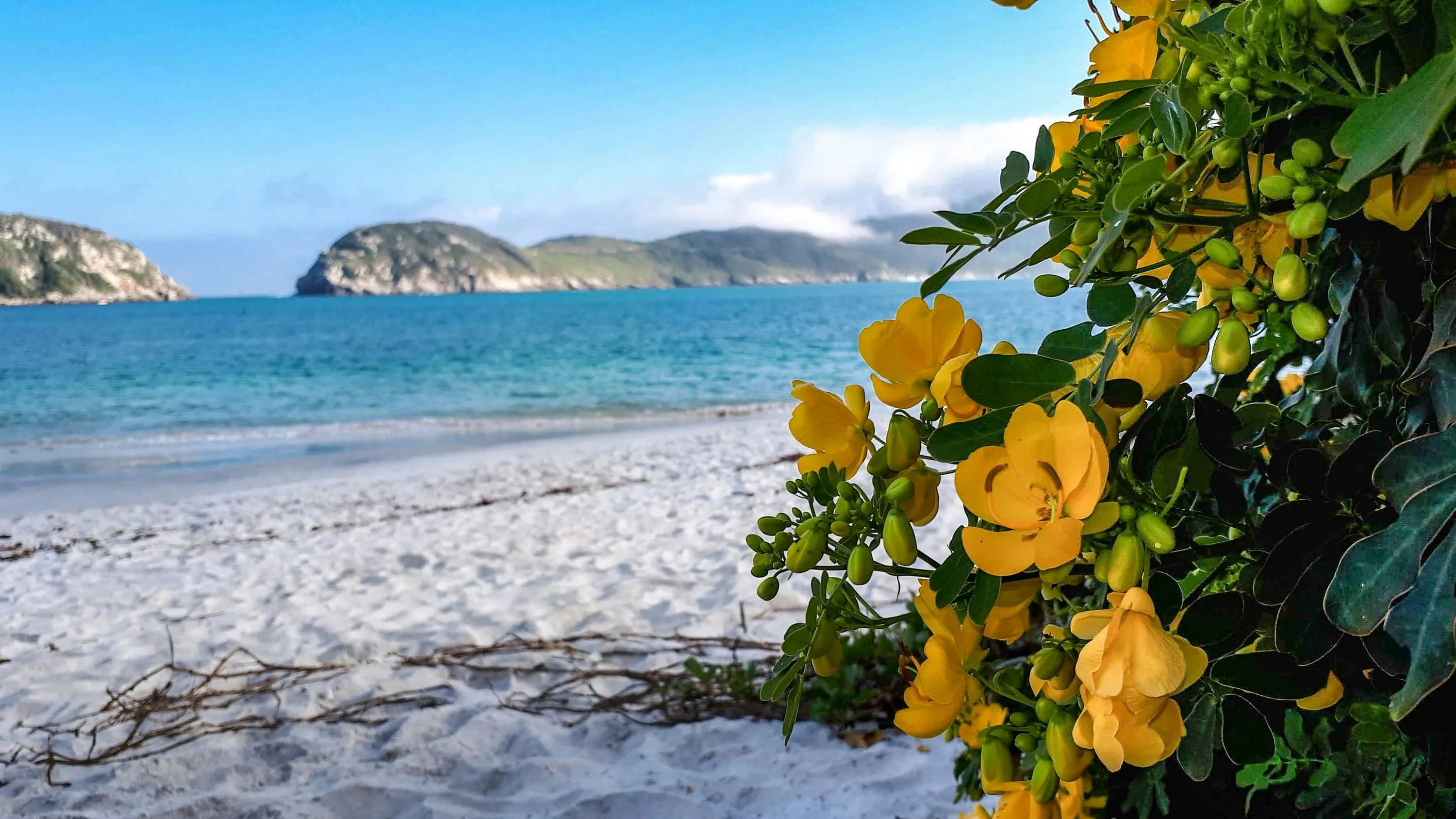 Vista costera con dunas, mar turquesa y cerros de Arraial do Cabo