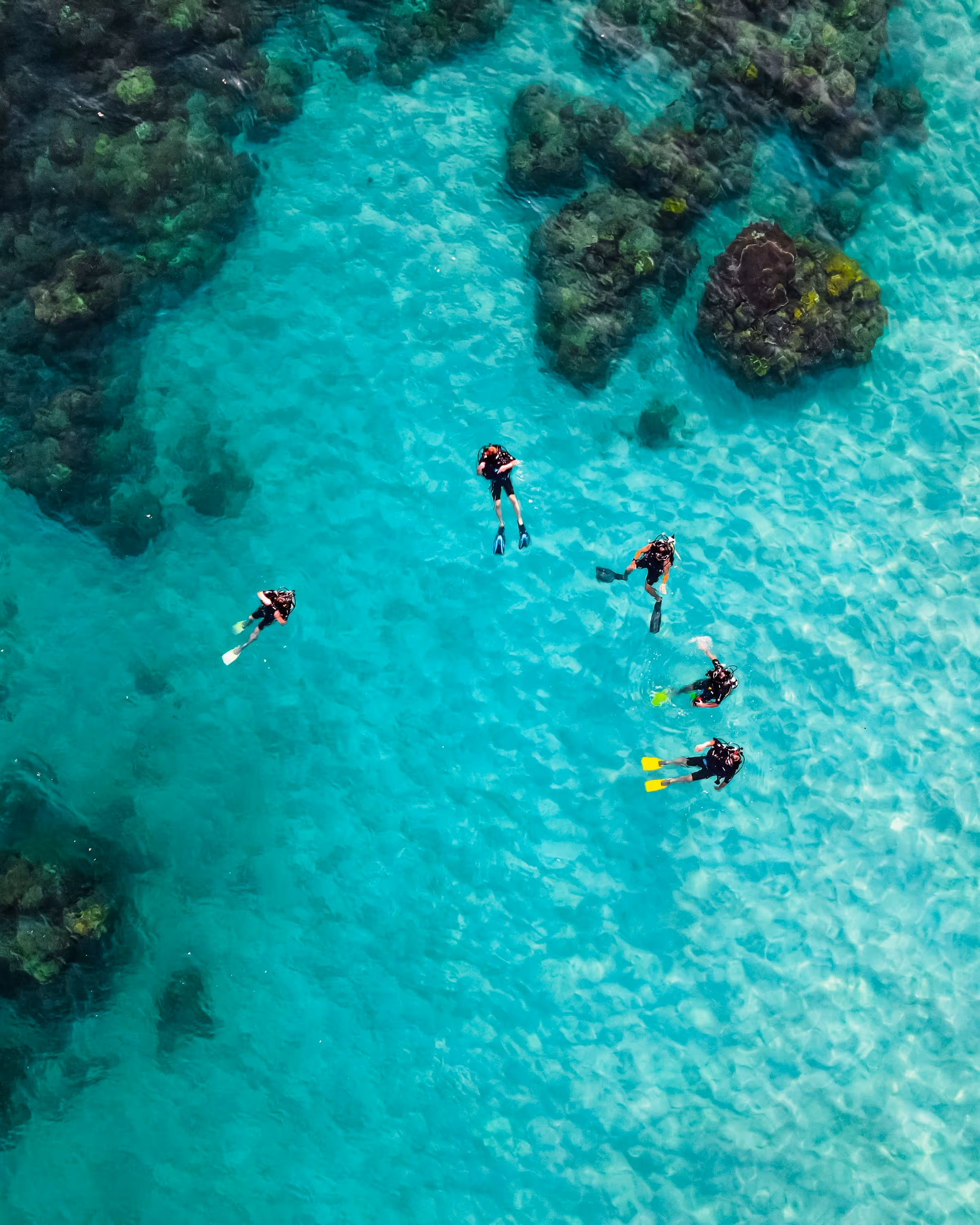 Dos buceadores en aguas cristalinas rodeados de peces tropicales y corales