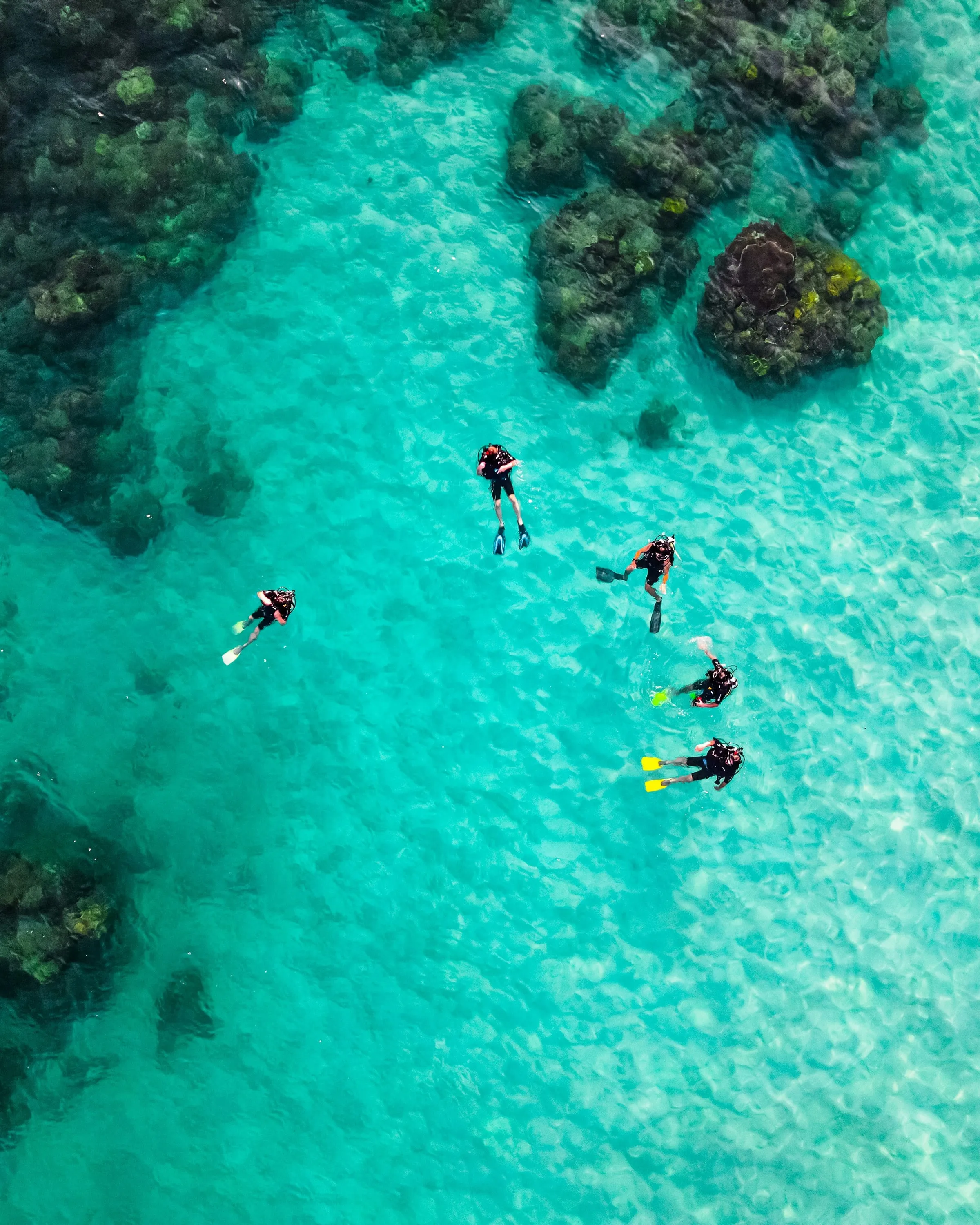 Dos buceadores en aguas cristalinas rodeados de peces tropicales y corales
