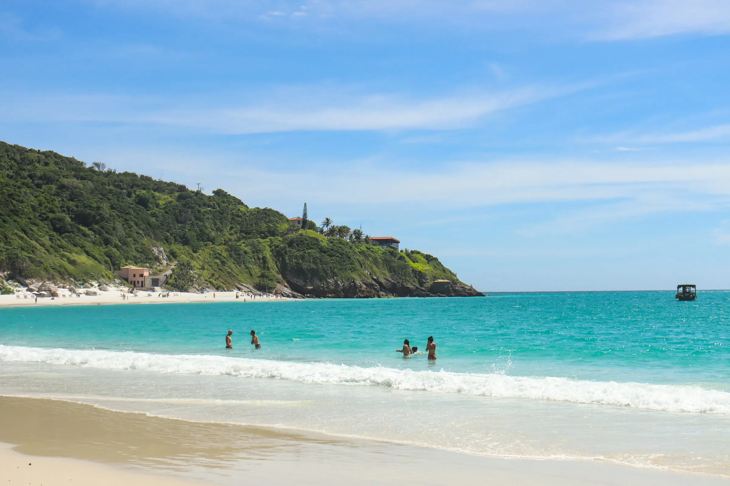 Caracoles sobre la arena blanca de una playa de Brasil