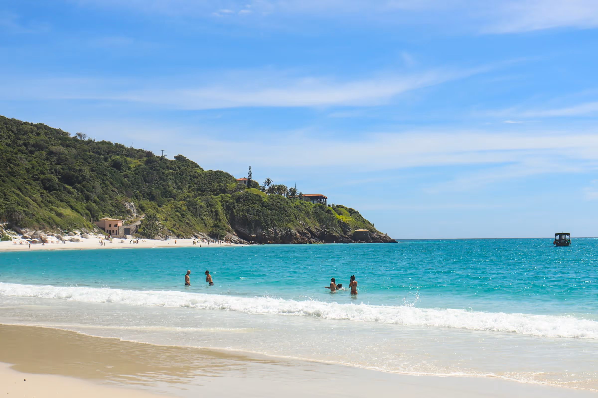 Caracoles sobre la arena blanca de una playa de Brasil